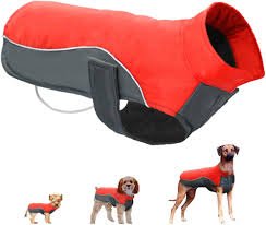 Comtervi Vattentät Hundjacka - Reflekterande och Varm